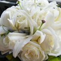 DSCF0226 (2)